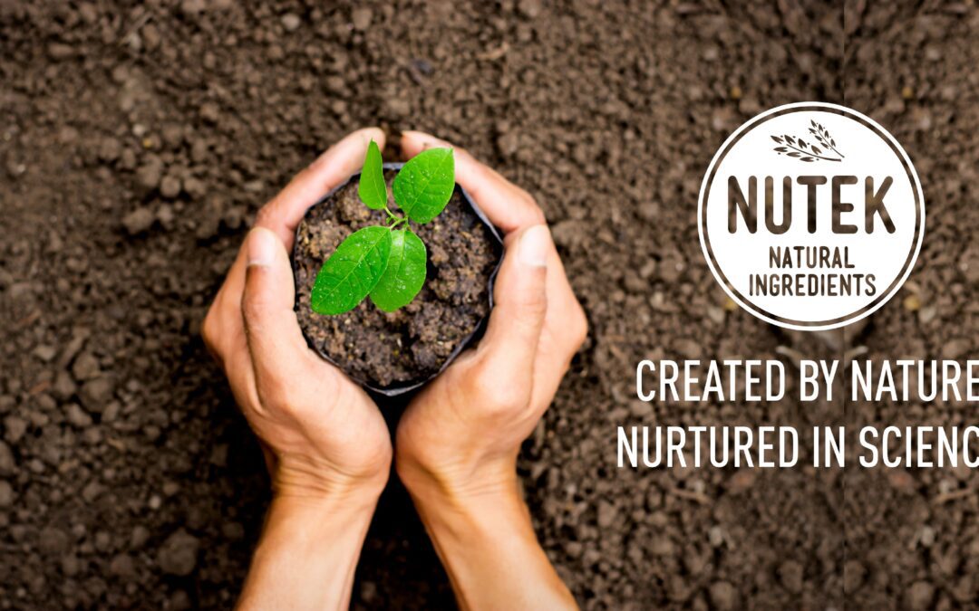 Making a Clean Swap – NuTek Natural Ingredients